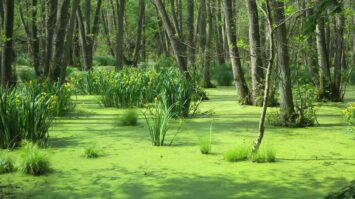 usedom ostsee bilder 4